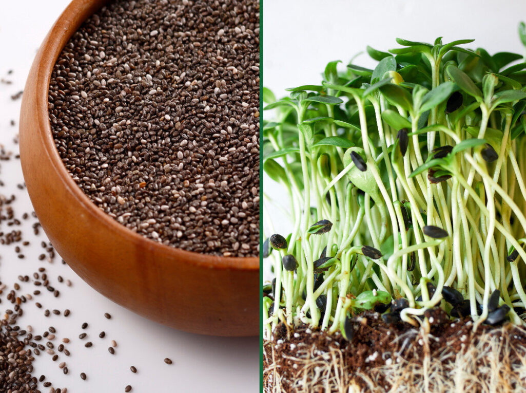 Blog Cover_6 Blog Cover_6