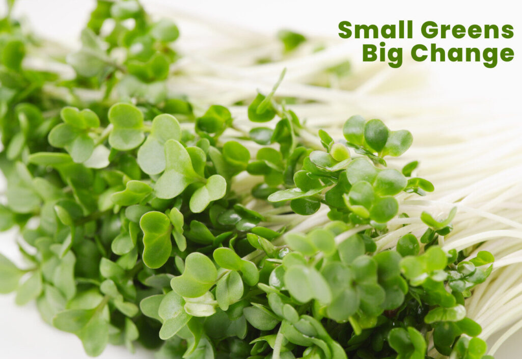 Blog Cover_8 Blog Cover_8