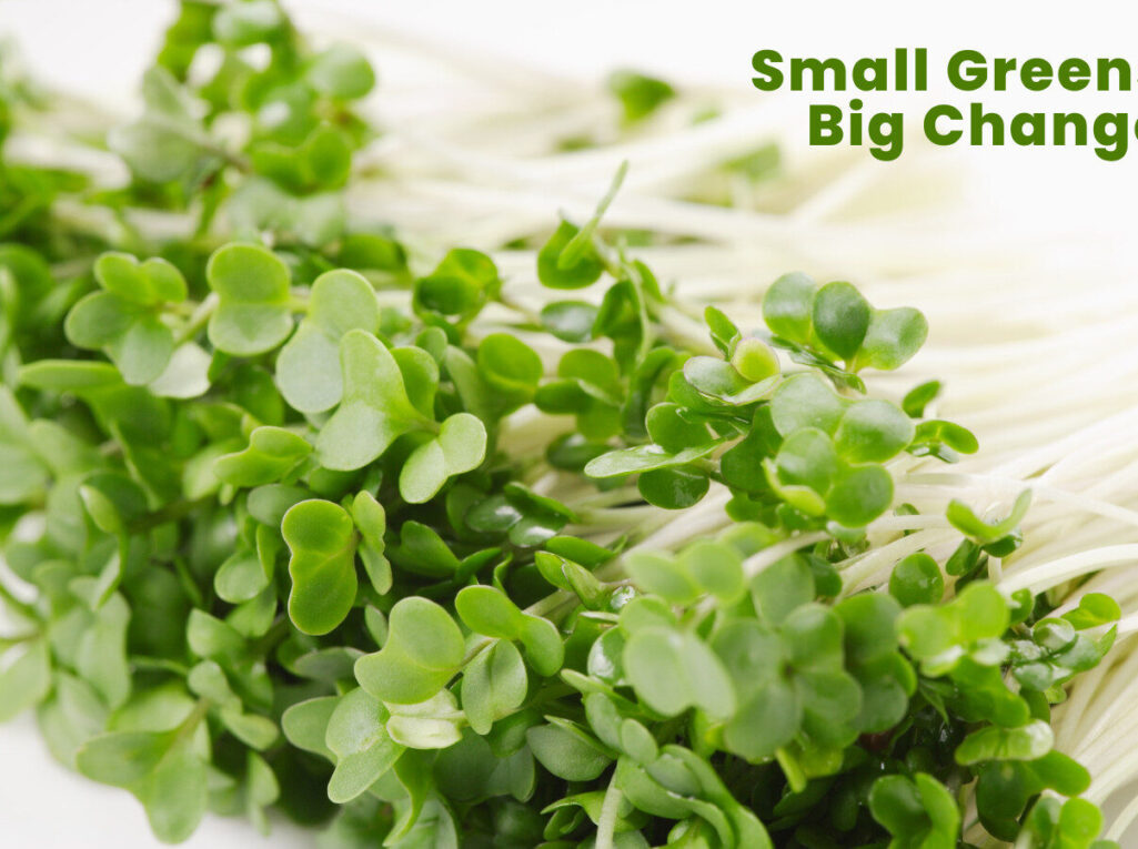 Blog Cover_8 Blog Cover_8