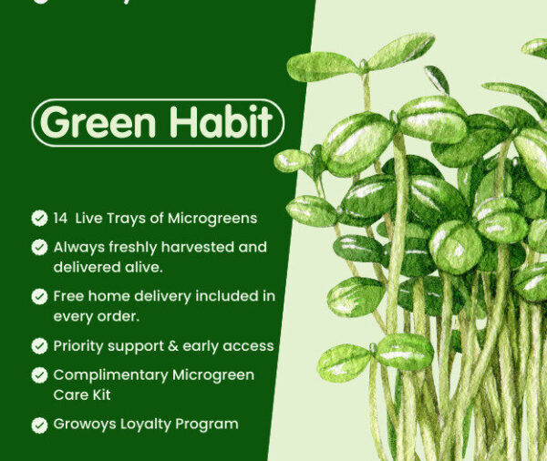 Green Habit