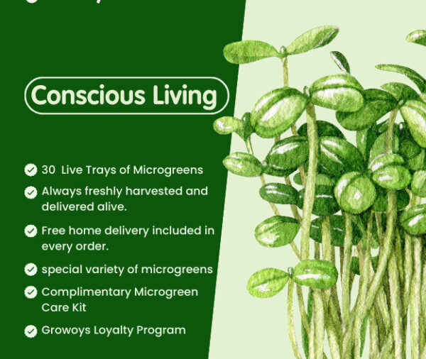 Conscious Living