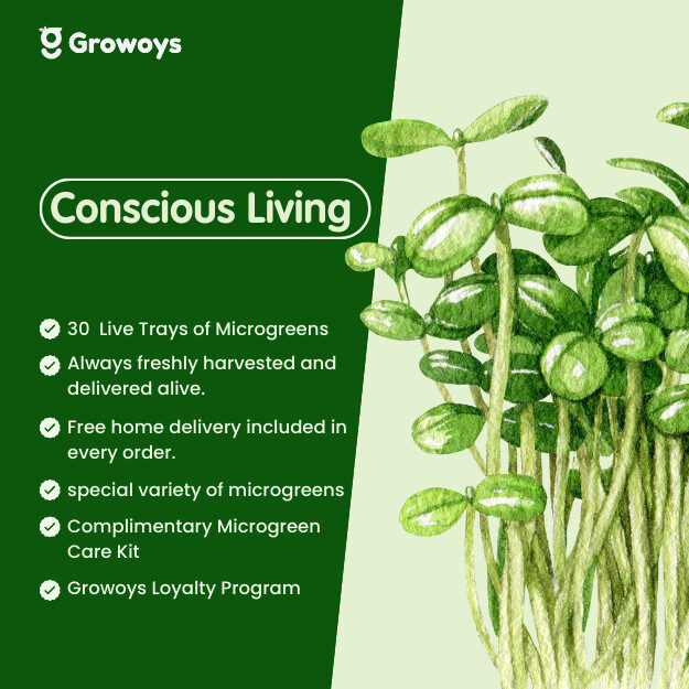Conscious Living